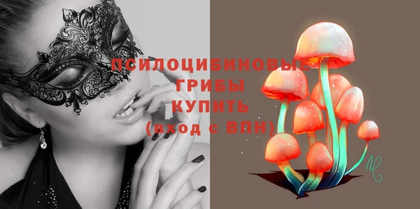 дживик Кулебаки