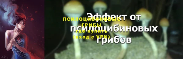 дмт Балахна