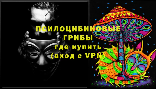 дмт Балахна