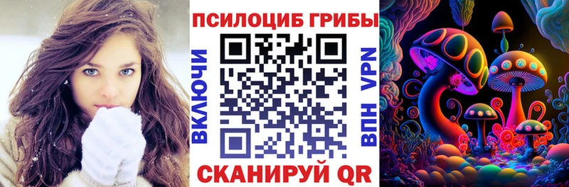 Галлюциногенные грибы Magic Shrooms  купить   Ефремов 